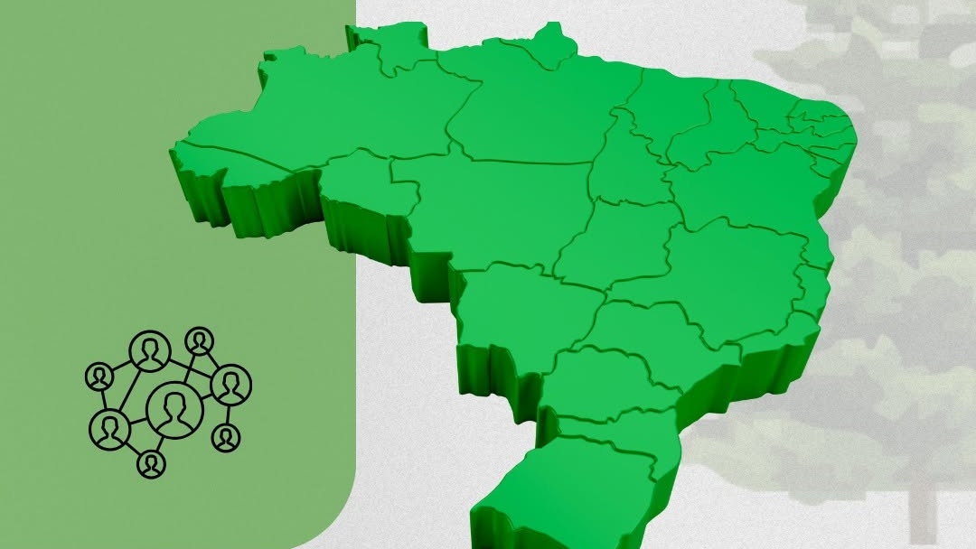 componentes florestais de alta qualidade