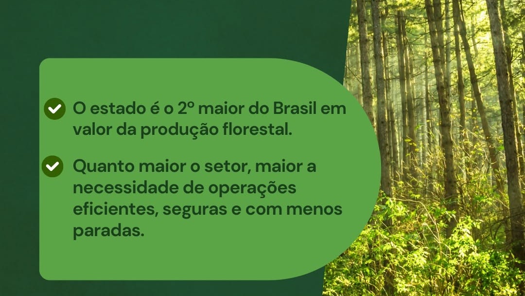 6,3 bilhões foi o valor movimentado pela sivicultura no Paraná em 2024