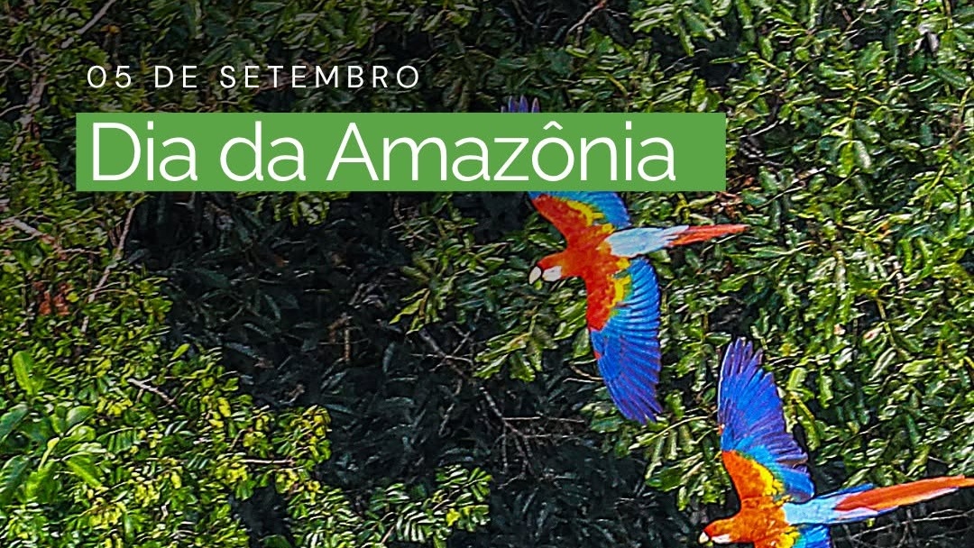 dia da amazonia cuidado com o meio ambiente